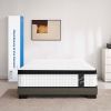 Queen Size 12" OEKO-TEX100 Breathable Kniited Fabric Cover Cool Memory Foam Individual Pocket Spring Hybrid Mattress