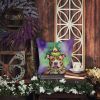 Pit Bull Terrier King of Mardi Gras Throw Pillow Machine Washable, Indoor Outdoor Decorative Pillow for Couch, Bed or Patio, 18Hx18W